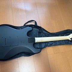 【8/25（月）まで】エレキギター　SELDER STC-04 黒マットカラーの画像