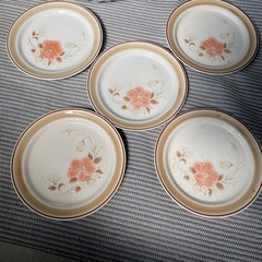 Water Colors 中皿　ストーンウェア 5枚セットの画像