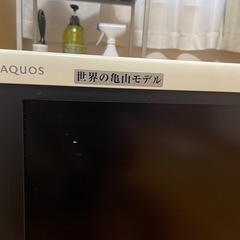 世界の亀山　テレビ 24インチの画像