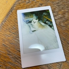 チェキ　pop instax miniの画像