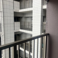 全国🐦鳩ネット材料販売致します❗️の画像