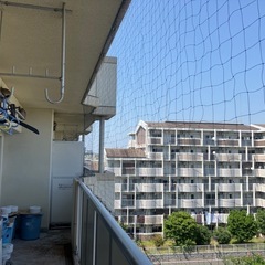 全国🐦鳩ネット材料販売致します❗️の画像