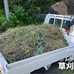 草刈り、伐採します！