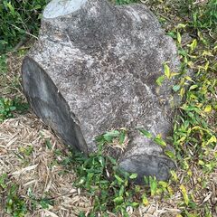 薪　焚火　キャンプ　無料