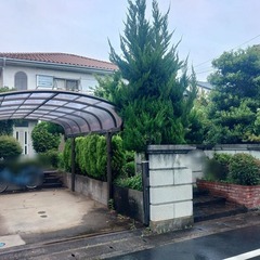 【埼玉県さいたま市の皆さまへ】庭木の整理も中庭の片付けも一括対応...