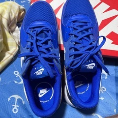 美品
NIKE AIR MAX EXCEE❗️の画像