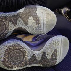 【外箱有りました】NIKE KD trey5x 27cm バッシュの画像