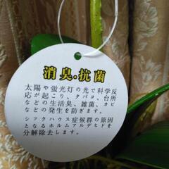 造花　胡蝶蘭の画像