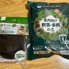 ミニ植木鉢セットの画像