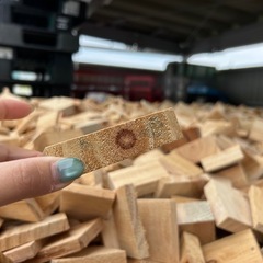 木片　木材　廃材
の画像