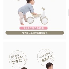 アイデス(Ides) D-Bike mini ワイド 三輪車 ペダルなし 屋内 幼児 赤ちゃん 男の子 ギフト プレゼント (ブルー)の画像