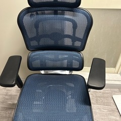 エルゴヒューマン　ergohuman Pro オフィスチェア　チ...