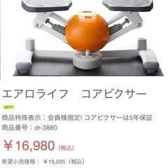 【決定済み】ステッパー エアロライフ コアビクサー
