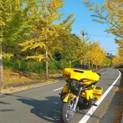 日曜日 ＆ 水曜日　アメリカンバイク限定ツー
