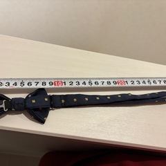 子ども　蝶ネクタイの画像
