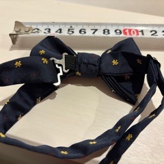 子ども　蝶ネクタイの画像