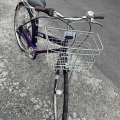自転車紫(6ギア)の画像