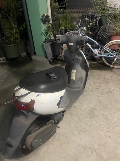 沢山のご連絡ありがとうございます。本日引き取り者様決定です。