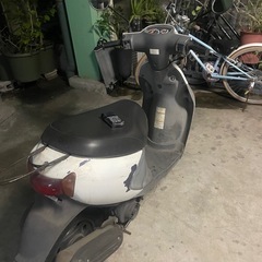 沢山のご連絡ありがとうございます。本日引き取り者様決定です。
