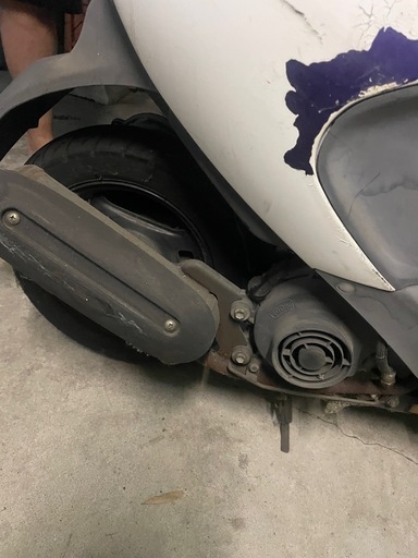 沢山のご連絡ありがとうございます。本日引き取り者様決定です。