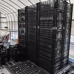 1️⃣　商談中　コンテナ　カゴ　50ケ有　バラ売り可の画像