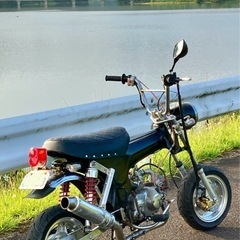 ダックス50ccの画像