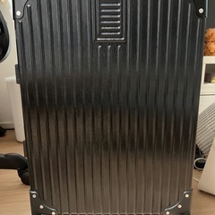 キャリーバッグの画像