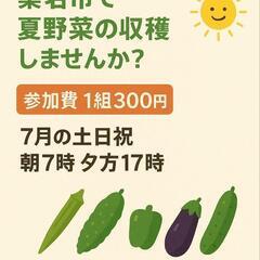 【夏休みにぴったり🌿】桑名市で夏野菜の収穫体験しませんか？…