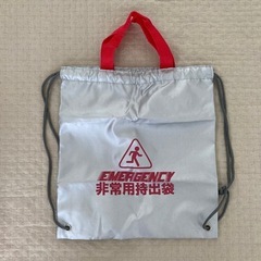 【お譲り先決定】非常用バッグ　2枚セットの画像