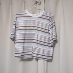 最新値下げ　Ｔシャツとオーバーオールセット　レディースの画像