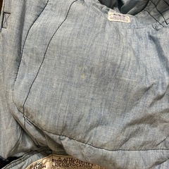 エルゴベビー　ベビーキャリア Lee 限定版【抱っこ紐】の画像