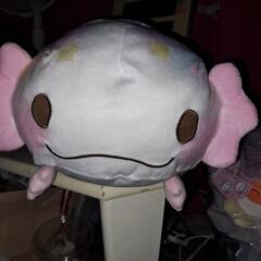 可愛いウーパールーパー縫いぐるみ(現状販売)の画像