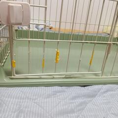 猫ちゃん用ゲージの画像