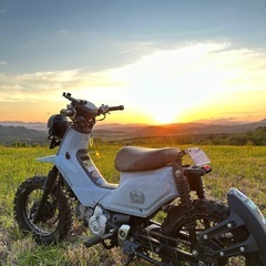 🌲スーパーカブ110PRO🏕️オフロード仕様🦌の画像