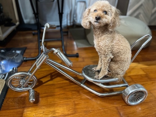 オールステンレス三輪車