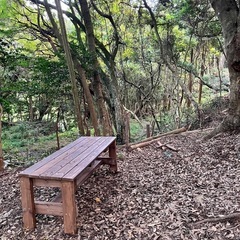 小さな山(森)の開拓の手伝いなどの募集🏕️