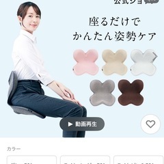 Style スタンダード　美姿勢　シート　の画像