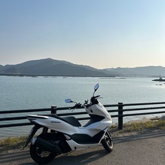 ホンダ PCX 超美品 走行1500キロの画像