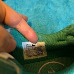 Nike Air Max ホワイト/グリーン 24.5
の画像