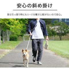 アイリスオーヤマ IRIS OHYAMA RFM-NLC32 RM長さ調整リード 犬　ペット
の画像