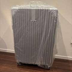 人気✨スーツケース キャリーケース シルバー Mサイズ TSAロック 60Lの画像