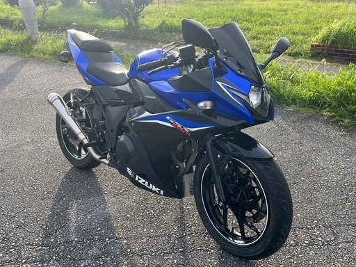 2020年モデル スズキ GSX250R　セパハ ンその他カスタム