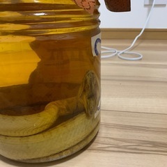 ハブ酒値下げ‼️の画像