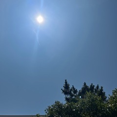 傷を抱えても。