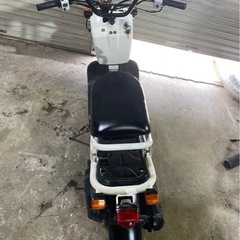 ホンダ　ズーマー50 実働　始動動画有り　15000キロの画像