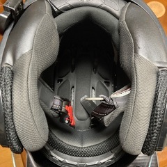 🉐カブト　アサギ　ジェットの画像