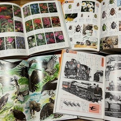 学習こども図鑑　小学館　辞典　自動車　汽車電車　昆虫 動物 恐竜 鳥　魚　植物　日本 世界 飛行機 船　　子ども 子供　 児童書　辞典　図鑑　の画像