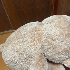 ぬいぐるみの画像