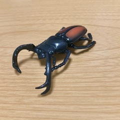 ★ 昆虫採取標本 ガチャ ディディエールシカ クワガタ ★の画像