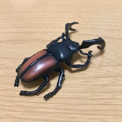 ★ 昆虫採取標本 ガチャ ディディエールシカ クワガタ ★の画像